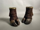paire de pattes d'ours brun avec des bordures en laiton sur fond blanc