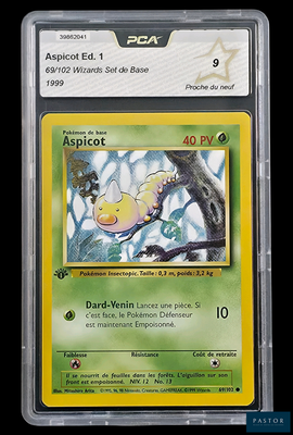 une image d'une carte Pokémon dans un étui en plastique