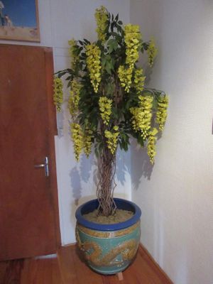 une plante en pot avec des fleurs jaunes, posée sur un parquet