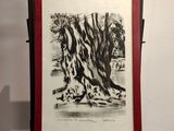 a black and white drawing of a tree in a red frame
