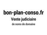 Photo 1/1 du lot