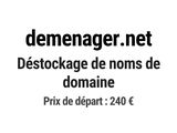 Photo 1/1 du lot