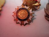 a medal that is sitting on a table next to other medals