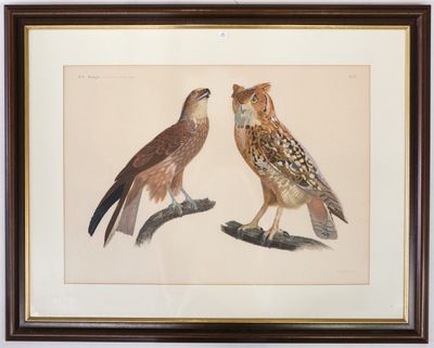 Deux oiseaux sont perchés sur une branche devant un mur blanc.