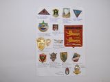 many different badges on the refrigerator door