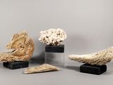 three pieces of driftwood and a horse head are on display