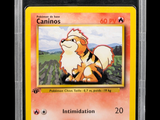 a close up of a pokemon card with a picture of a cat