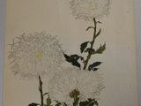 a painting of two white flowers with green leaves on a table