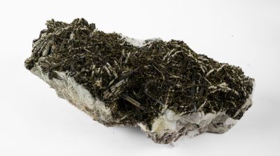 the rock is covered with moss and dirt on a white surface