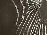 Photo 5/7 du lot