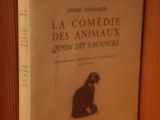 Photo 2/10 du lot