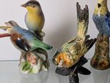 three birds sitting on a glass shelf next to each other