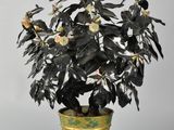 une plante en pot posée sur une table