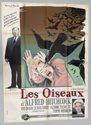 an image of a movie poster for les oiseaux, with a woman in a dress and a man