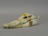 a small animal skull with a tag on it ' s shoe
