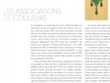 Photo 7/8 du lot