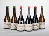 six bouteilles de vin sont alignées sur une surface blanche
