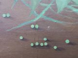Photo 29/30 du lot