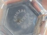 a small insect that is sitting in a plastic container