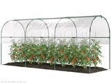 une serre dans laquelle poussent des tomates