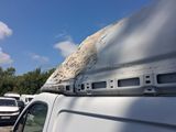 a white van with a bird sitting on top of it