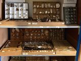 a shelf full of different kinds of items in a room