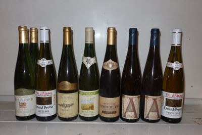 de nombreuses bouteilles de vin alignées sur le comptoir