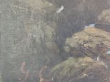 a picture of a painting of birds on the rocks