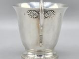 an image of a silver cup with a spoon in it