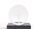 a clear glass sculpture on a black base on a white background