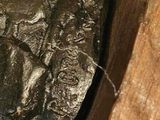 a rock that is sitting on a piece of wood