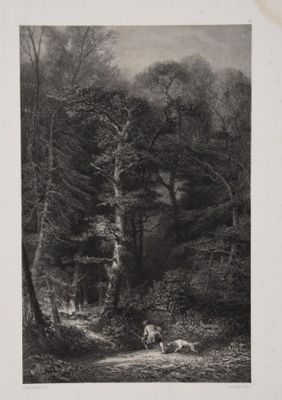 Karl Bodmer (1809-1893). Intérieur de forêt, lithographie, 4… - Photo 1