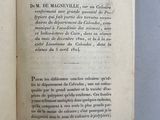un livre ouvert à une page où figure l'image d'un chat
