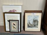 two framed pictures of birds on the floor next to each other