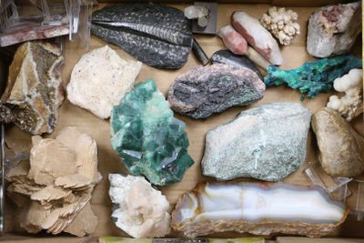 a box full of rocks and stones on a table