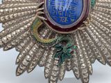 an image of a broochle with a dragon on it ' s back