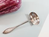 a silver spoon and a purple eggplant on a table