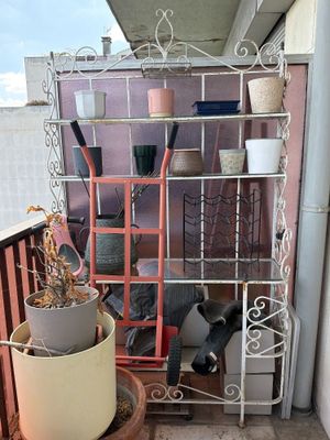 une plante en pot posée sur une étagère, sur un balcon