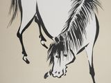 a picture of a horse that is painted on the wall