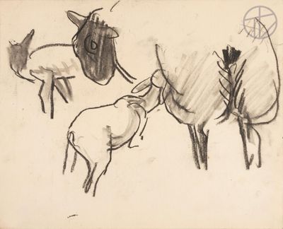 drawing of a sheep and a goat standing next to each other