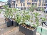 Photo 2/2 du lot