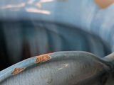 a close up of a blue vase with rust on it
