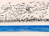 many birds flying over a body of water