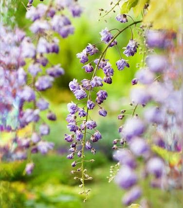 Destockage & Invendus