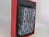 a red box with a glass in it on a white surface