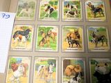 une photo d'un livre sur lequel figurent des images de chiens