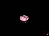 the pink moon shines brightly in the dark sky above the earth