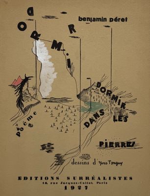 an old book cover with a drawing of a bird flying over a river