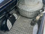 un panier pour chien dans le coffre d'une voiture