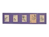 un ensemble de quatre peintures chinoises représentant des oiseaux et des fleurs